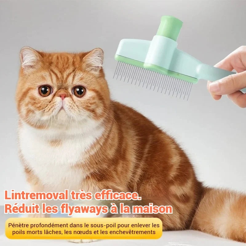 Brosse pour animaux de compagnie avec peigne anti-puces autonettoyant