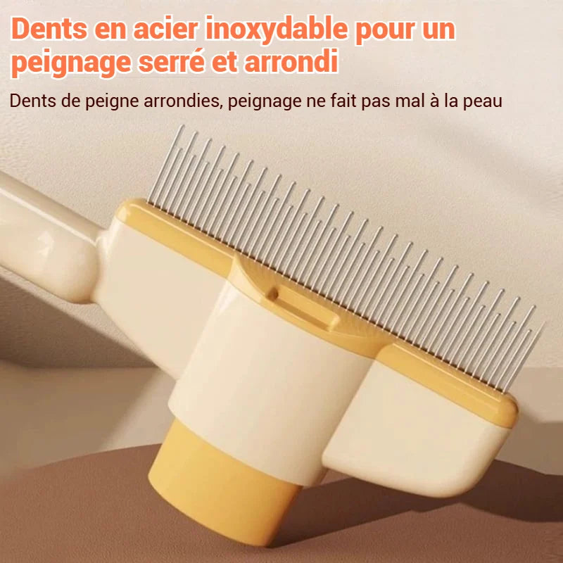Brosse pour animaux de compagnie avec peigne anti-puces autonettoyant