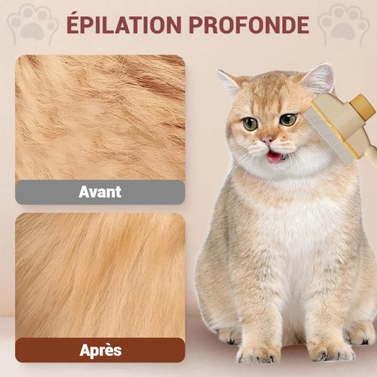 Brosse pour animaux de compagnie avec peigne anti-puces autonettoyant