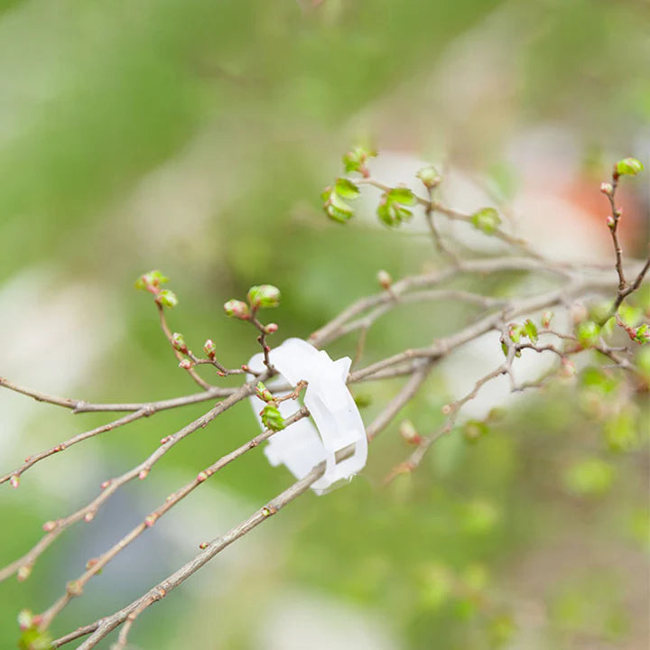 Clips de support pour plantes